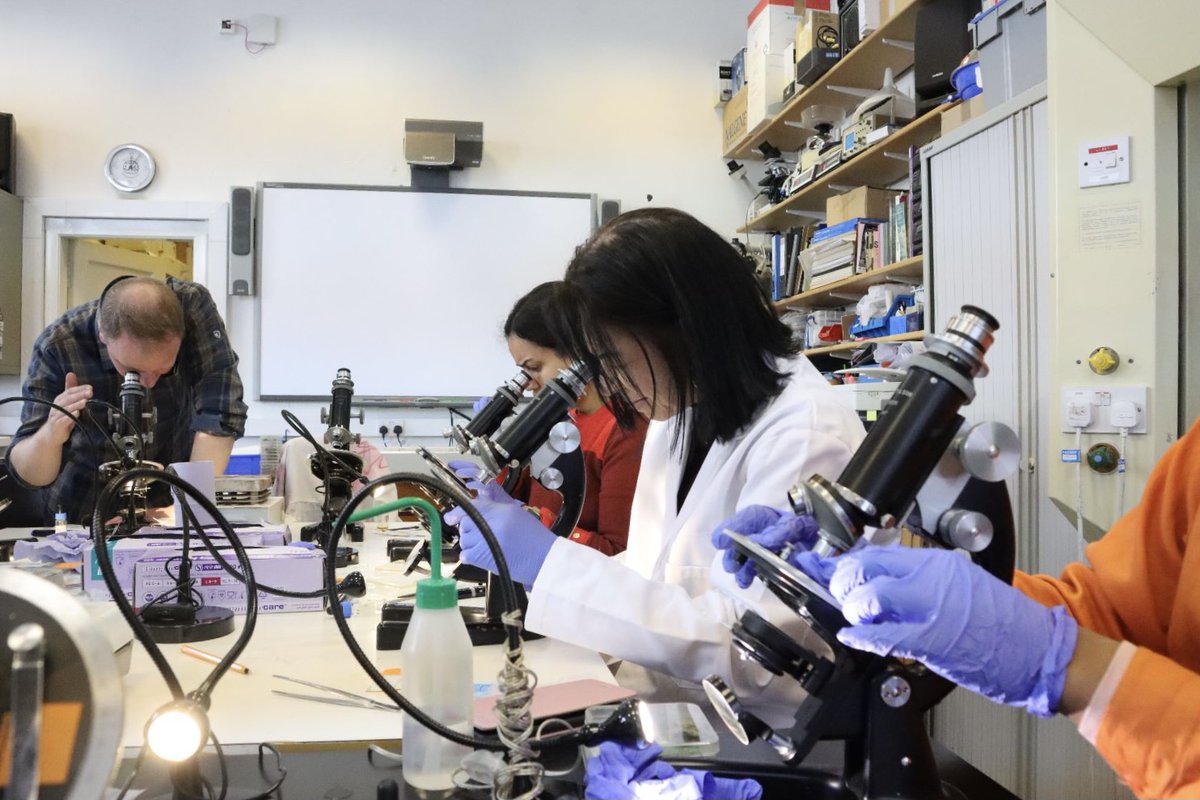 Access to Industry on Twitter "We've been in the lab! Our PAGE Art