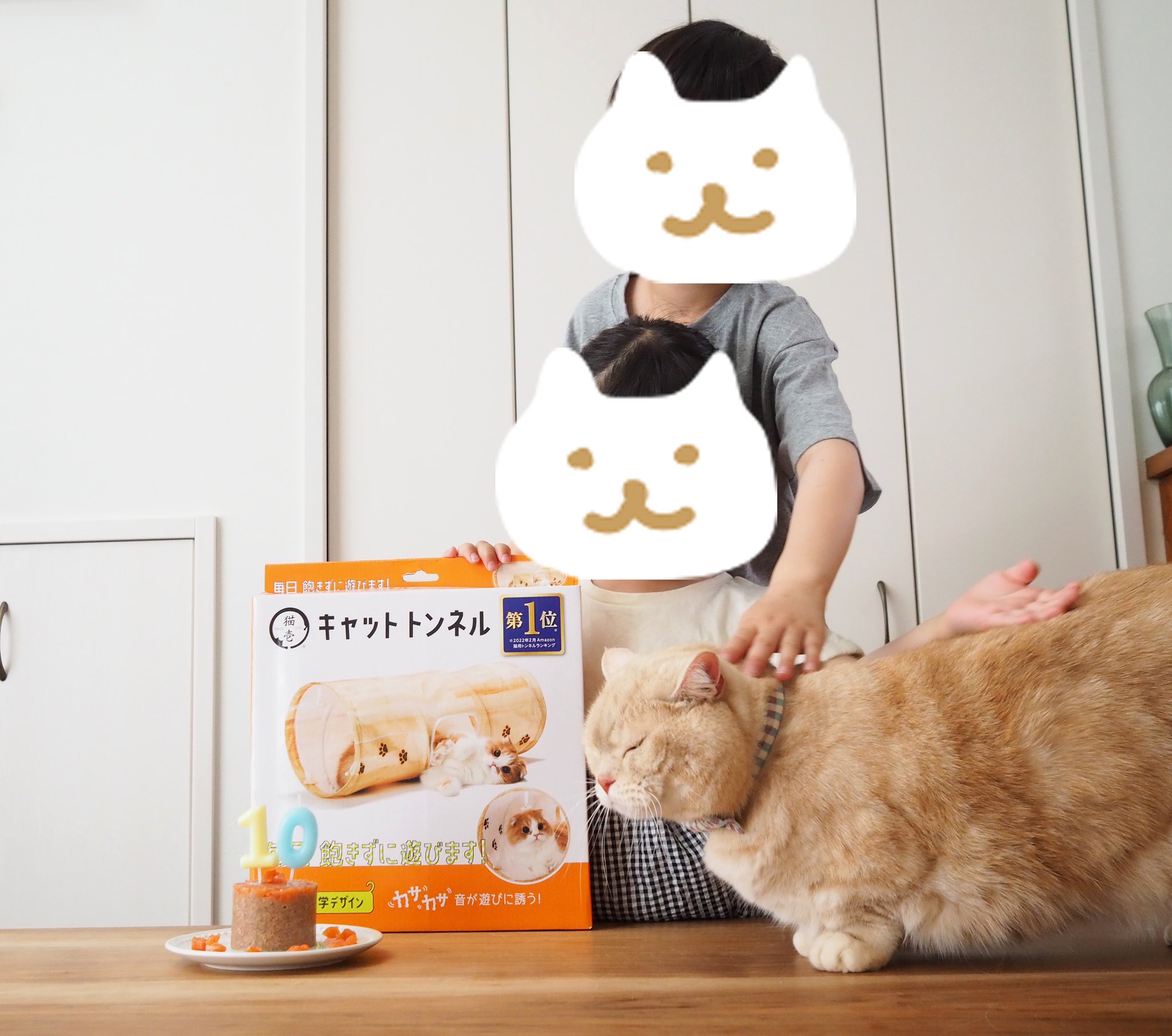 ねこさん⚡(ΦωΦ) on X: 