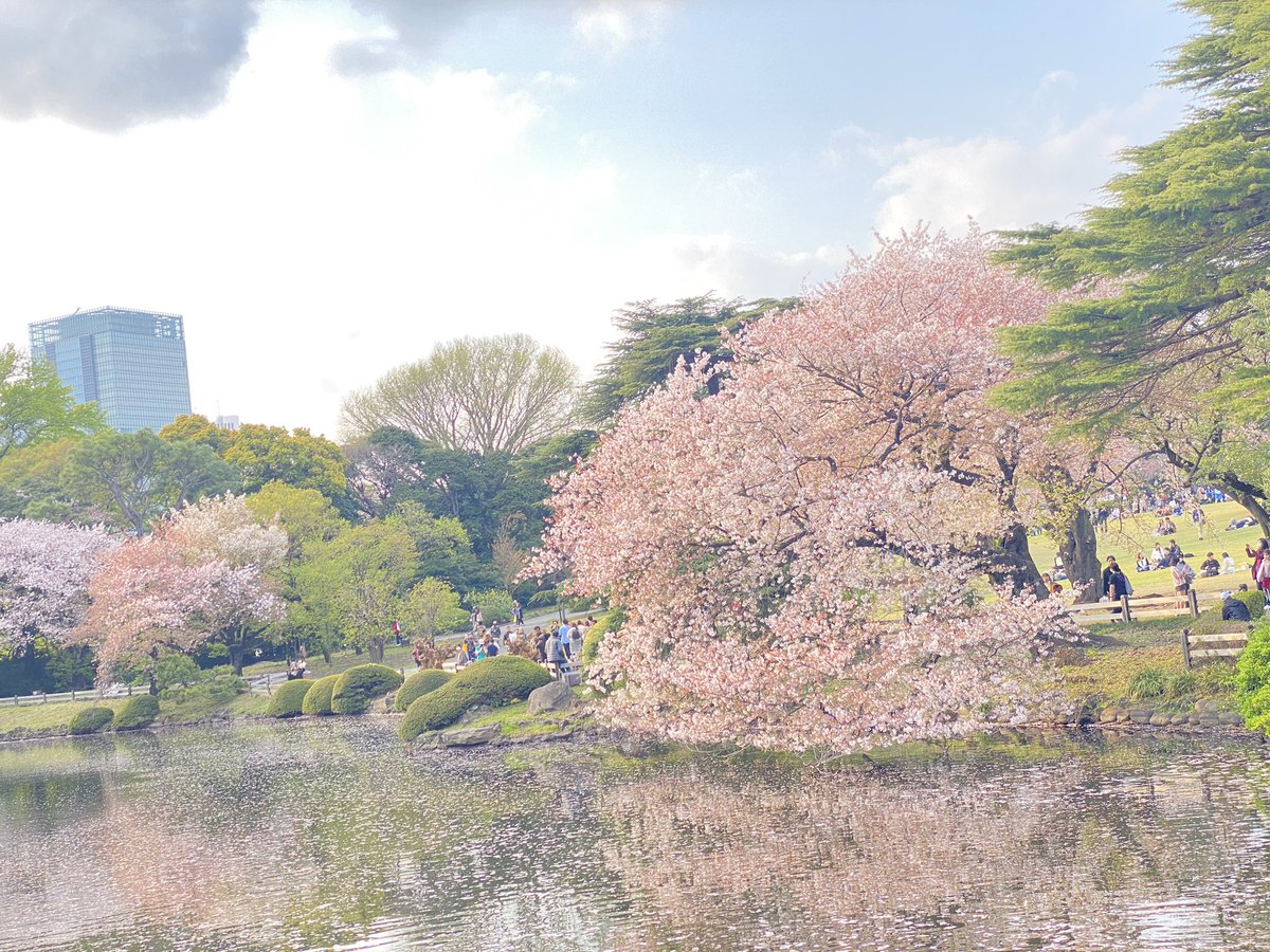 4月を感じました🌸