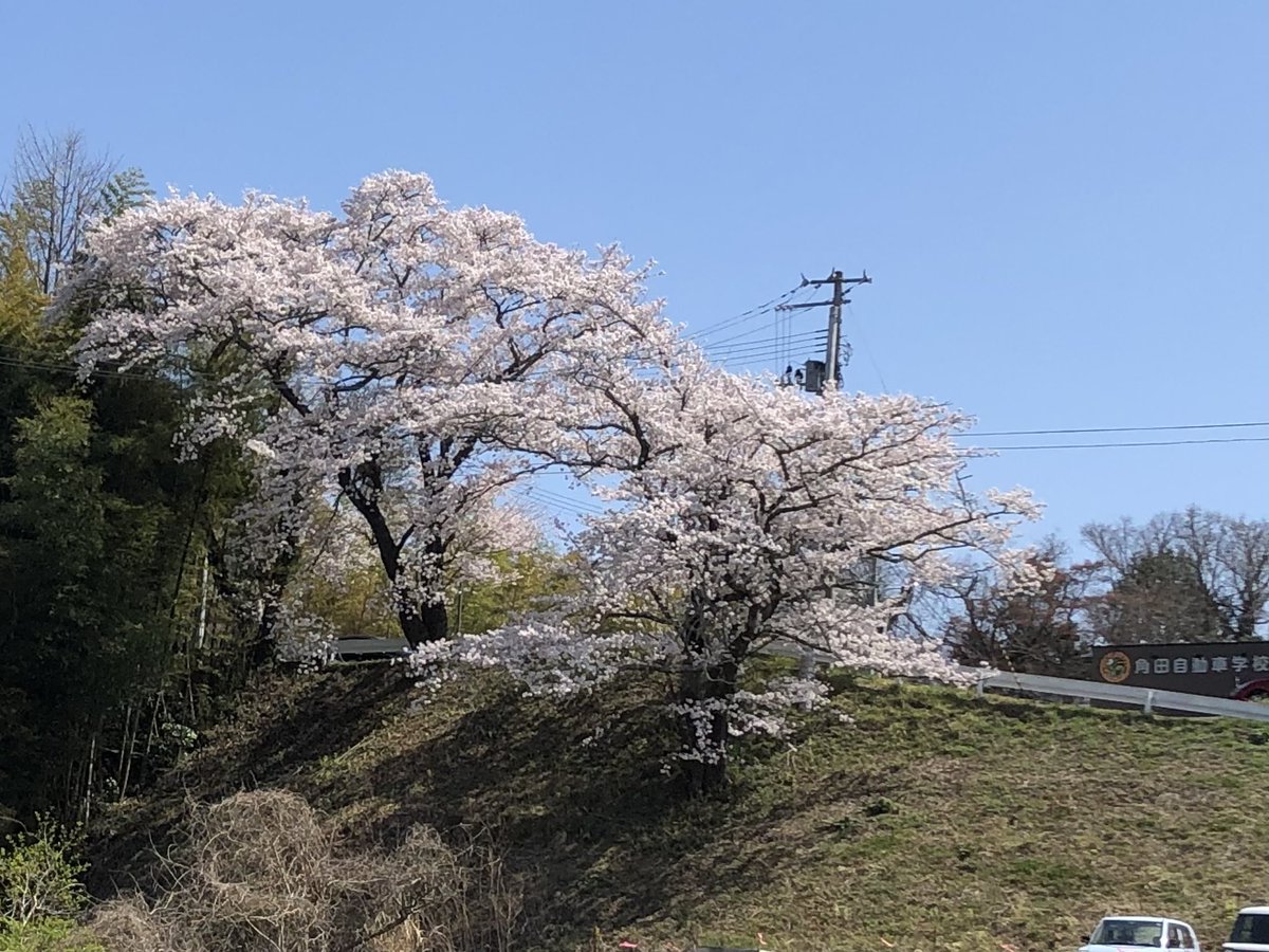 今日は角田市で仕事でした♪☺️
桜🌸が最高だった❗️
仕事帰りがらくたパレード聞いていたら自分の感想をマサユキさんに読んでもらえて超嬉しかった‼️
ラジオ番組に投稿したことがなかったので恥ずかしい🫣
#garakuta
#Lihoちゃんの聖地 
#竹森マサユキ