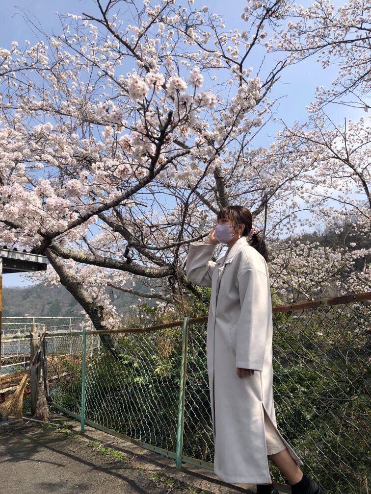 花見 🌸〜(>ω<〃)ﾏﾃｰ