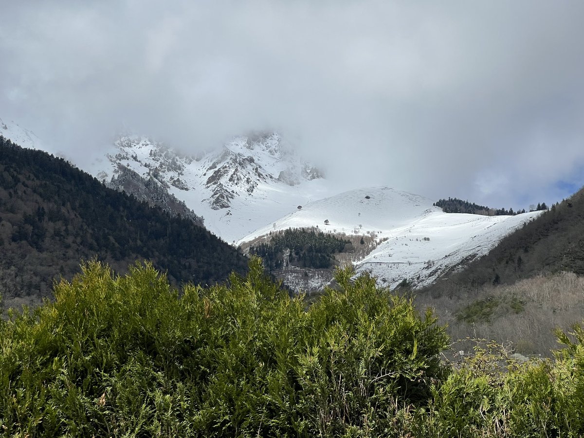 corinne_crabe's tweet photo. Alors que la floraison des aulnes se poursuit en vallée, sur les hauteurs du côté d’#aulon, du col du #bastan la neige a remis une petite couche cette nuit ❄️👌#neige #pyrenees #aurelouron #pirineos @Meteo_Pyrenees https://t.co/oVzeTiCaSU
