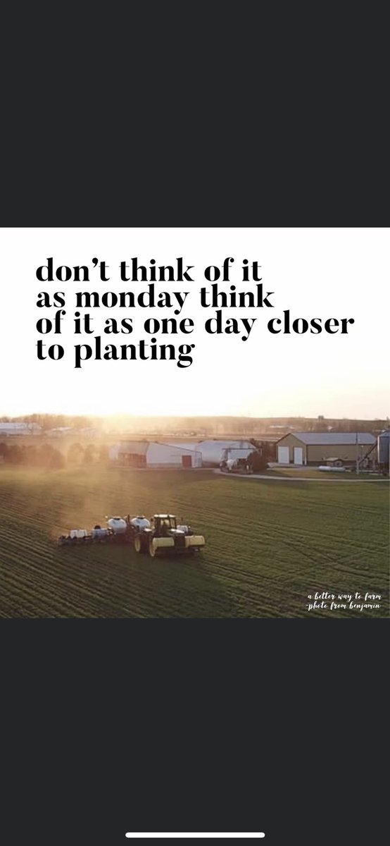 Travis Sullivan tweet media