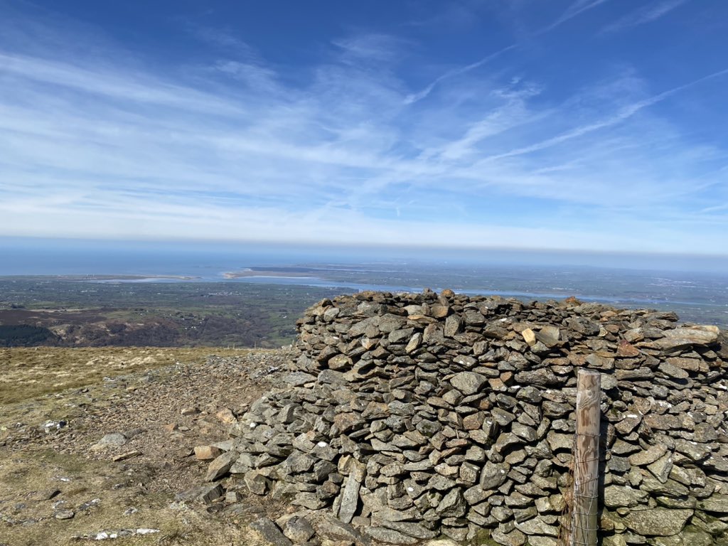 Iwan Taylor tweet media