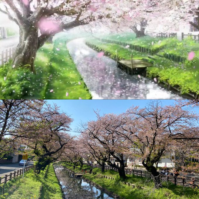 月がきれいの聖地川越行ってきました！散り始めてたけど桜も綺麗で写真で見でた以上に街並みも素敵すぎて川越が大好きになりまし