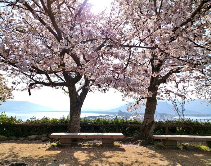 唐津城の桜がある程度散って葉が目立つようになってきたら「ユーリ!!! on ICE」3話ごっこ（ベンチに座った勇利とヴィ