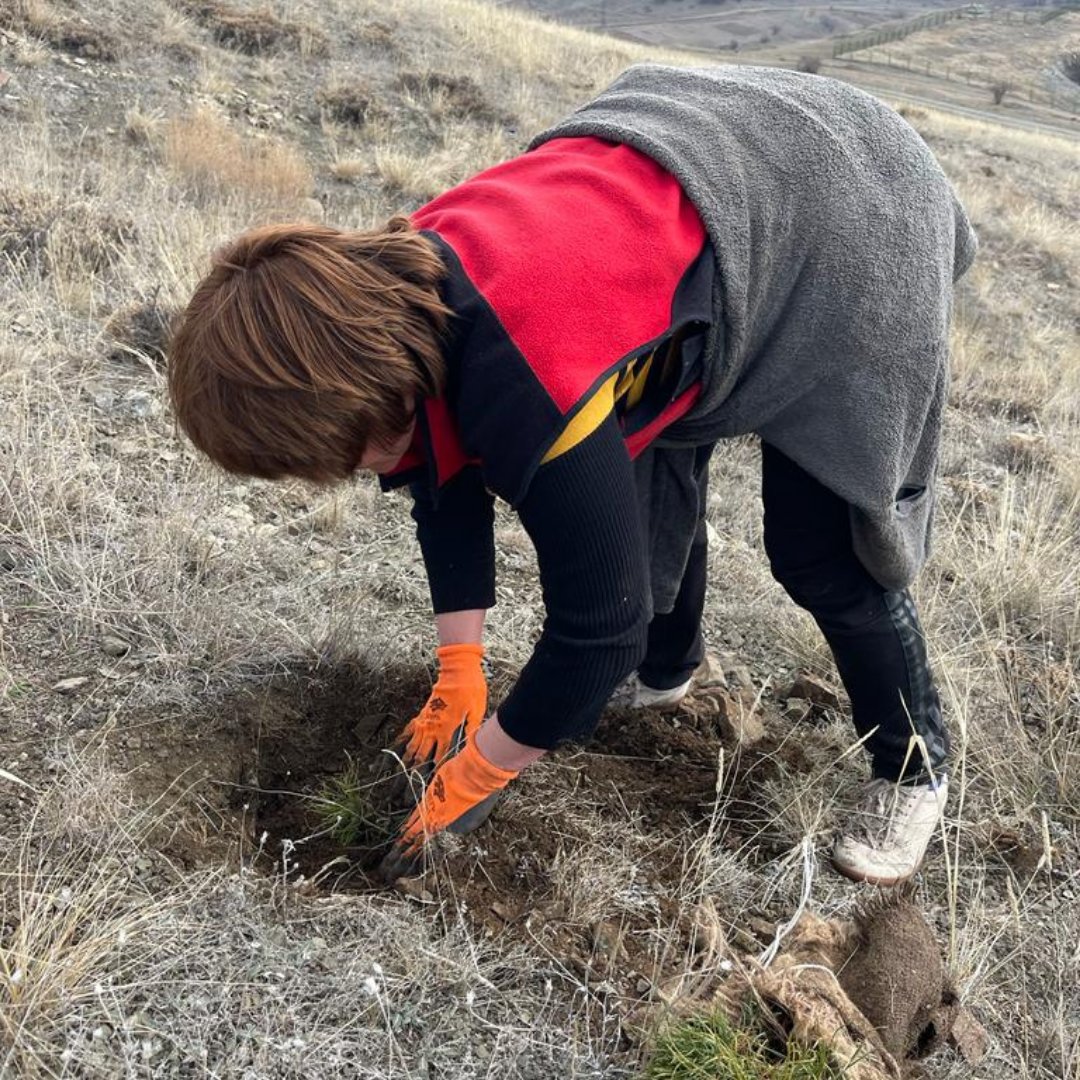 MyForestArmenia's tweet photo. 200 workers were involved in #SpringPlanting2023.   They are all from the neighboring communities of our afforestation areas. We are happy to have not only an environmental but a social and economic impact in Lori Province.  #MyForestArmenia #MyForestStaff #afforestation #forest https://t.co/RPbqSgxJNs