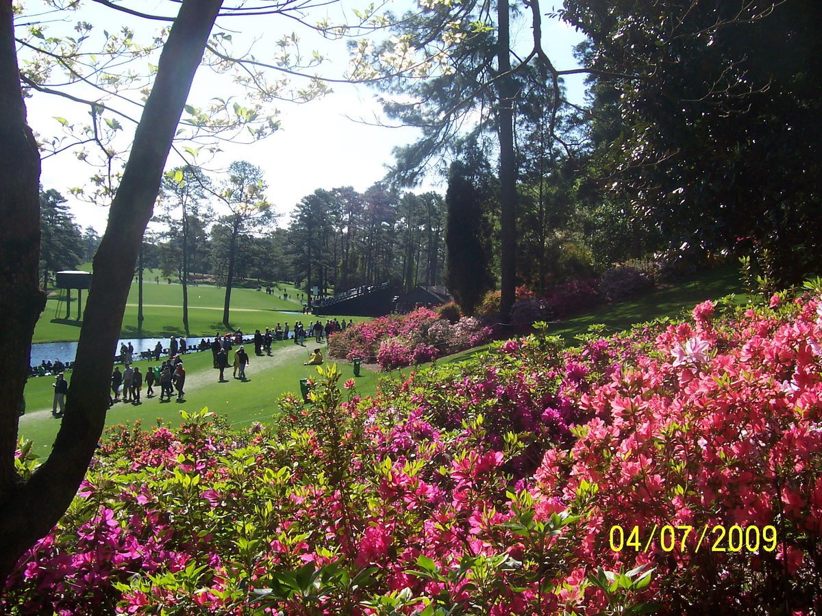 SonyaMRimmer's tweet photo. Masters Week!   #aplacelikeknowother ⛳️⛳️⛳️ https://t.co/mEykjRn0SN