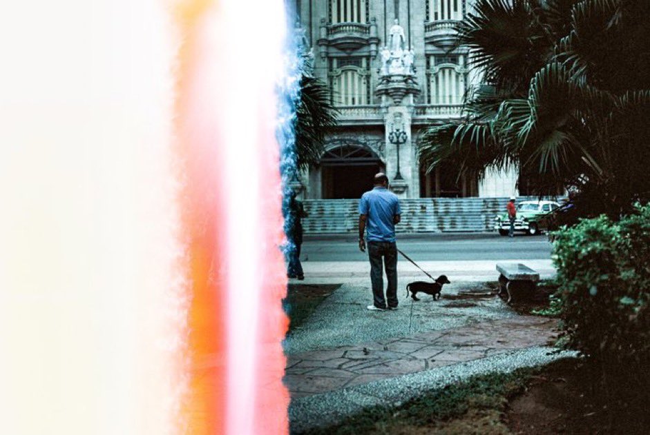 LostShoots 📷 tweet media