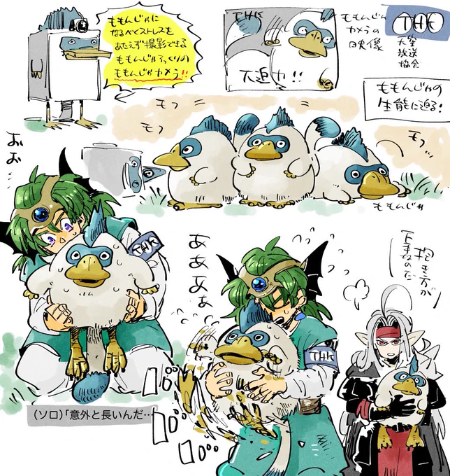 ドの世界でまもののこと紹介する番組とかやってたりするのかなと思って… 