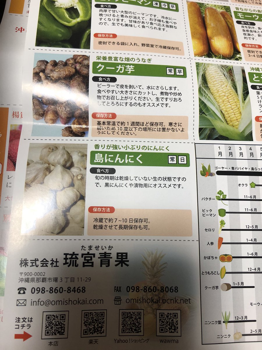 うちなんちゅ青果様用 取引用となります 沖縄のフルーツ&野菜のお店 たま青果 (@nahatamaseika) / X
