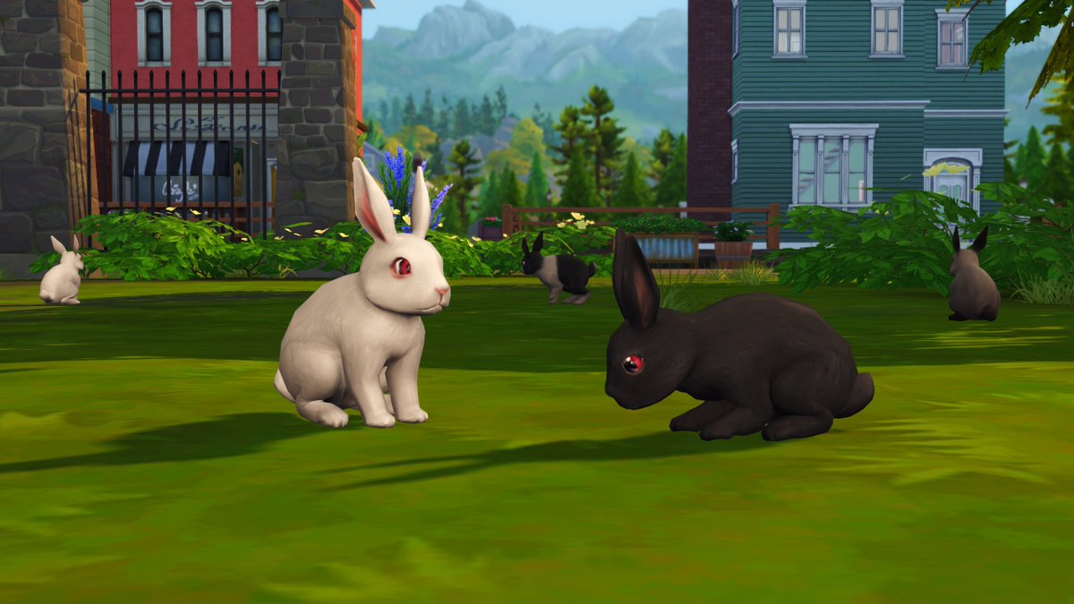 ChippedSim tweet media