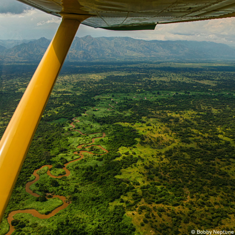 gorillacd's tweet photo. Avec les rivières Rutshuru et Ishasha, la #rivière sinueuse de Rwindi constitue la base des #marécages et des prairies au sud du lac Édouard, l'habitat d'une grande variété d'animaux aquatiques, tels que les oiseaux d'eau, les #hippopotames et les #crocodiles.⁠