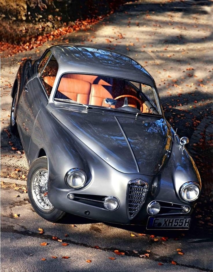 hexmoor_69's tweet image. 