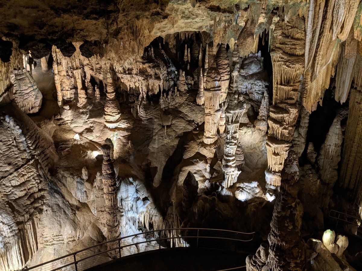 Scientists tried changing artificial lights used in tourist #caves like #CarlsbadCaverns to help prevent growth of #algae that damage stalactites and other cave features. By @geomicrobe @newmexicotech student Katherine Krizek sciworthy.com/can-artificial…