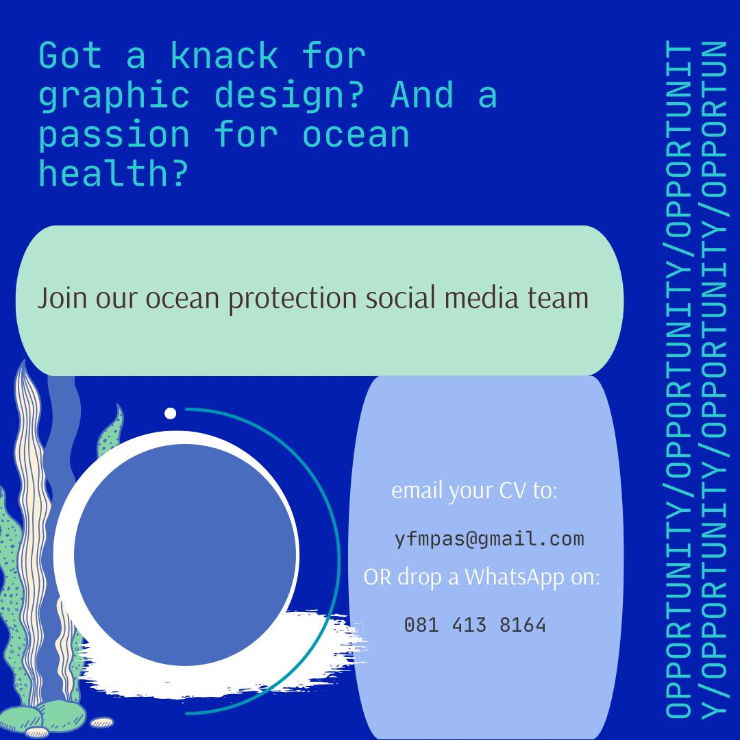 Are you a creative with digital skills? Want leverage these to be more active in the conservation space?
Youth4MPAs is expanding! 📷📷
If you enjoy making graphics and social media content you might want to get on our social media team!