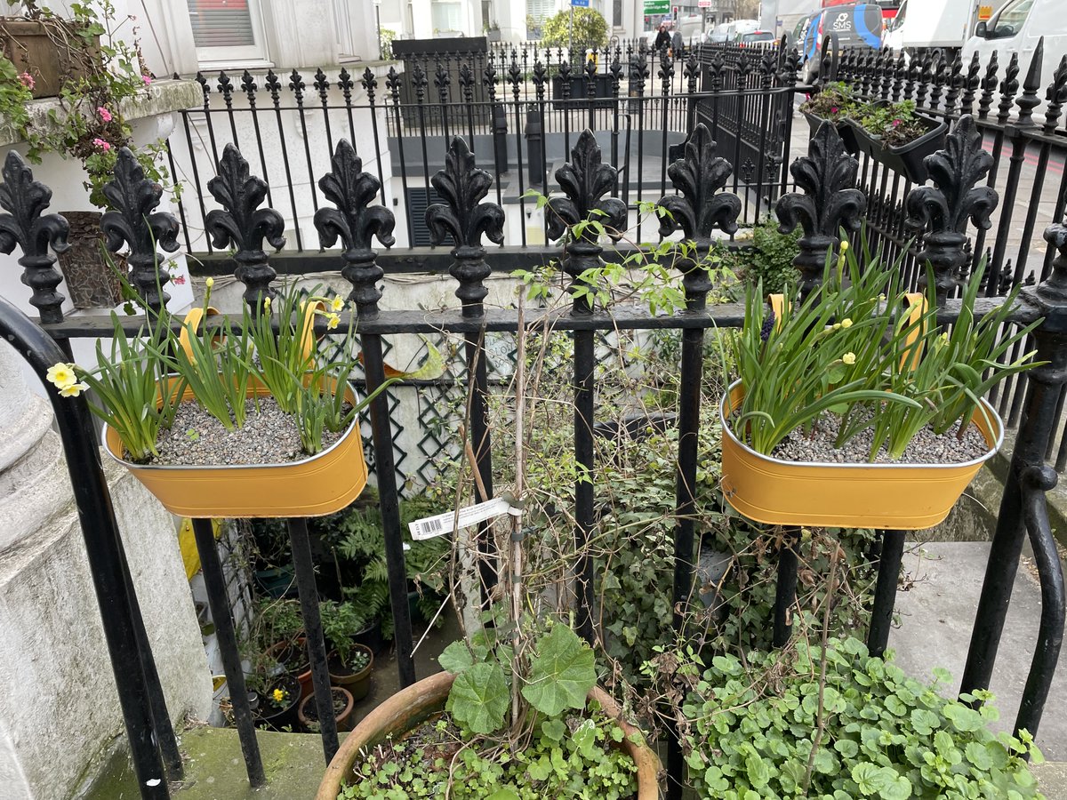 Thanks to #RassellsofKensington Lee &amp; Gareth <a href="/TfL/">TfL</a> Paul <a href="/NHGhousing/">Notting Hill Genesis</a> <a href="/deJagerBulbs/">P. de Jager & Sons Limited</a> <a href="/RiverFilmLondon/">River Film</a> for helping the <a href="/NSCARA2/">NSCARA</a> and #EarlsCourt to be a greener, brighter area for residents and especially to the team that make it happen making it a real community event! <a href="/RBKC_Ecology/">RBKC Ecology</a>