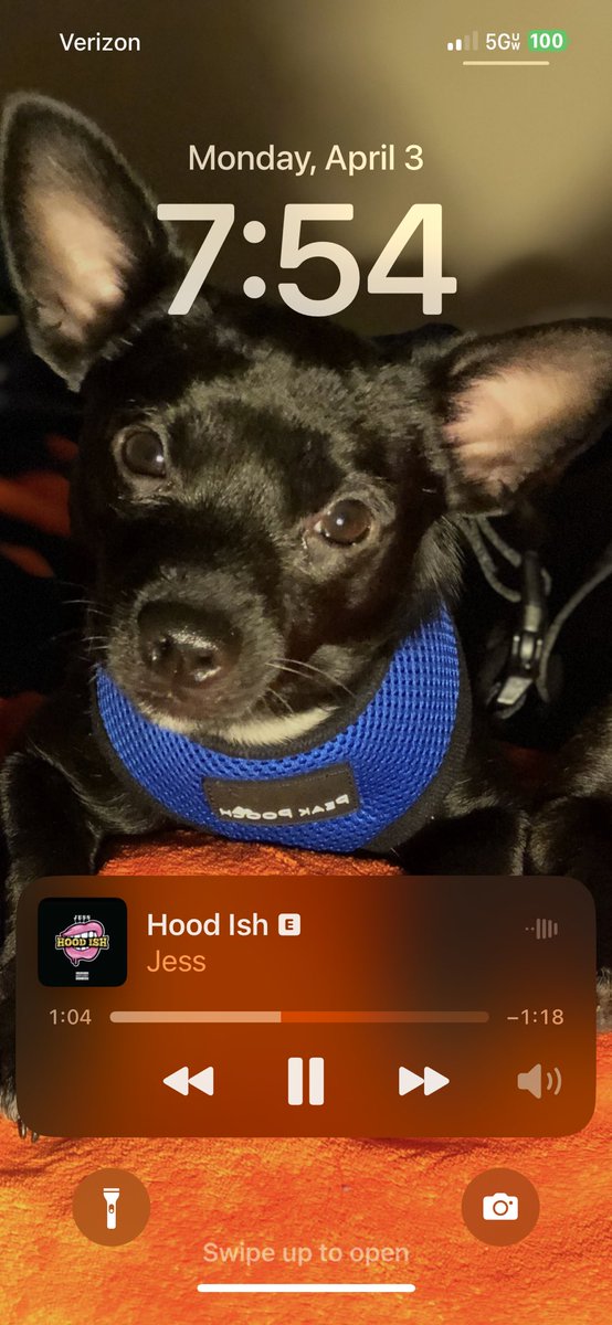 niceybee's tweet photo. @jess_hilarious this what we doing this morning?? Apple Music dropped you in the playlist. What type of mood y’all want me in on a Monday 😂😂it’s up now 🤷🏻‍♀️coworkers bring it https://t.co/gzX8EHwNJK