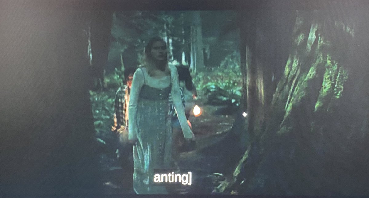 Tim_Hatch_'s tweet image. Ants when they’re doing ant stuff: