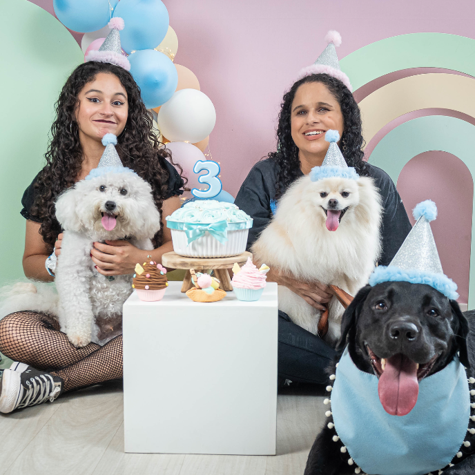 isisleeoficial's tweet image. Sequência de fotos do aniversário do Hug 🥳

Dia 25 de março o Hug completou mais um ano de vida. Foi um dia muito especial, com direito a sessão de fotos de aniversário e reencontro com o casal que socializou ele!

#acessibilidade #deficientevisual #cãoguia #labrador #cega