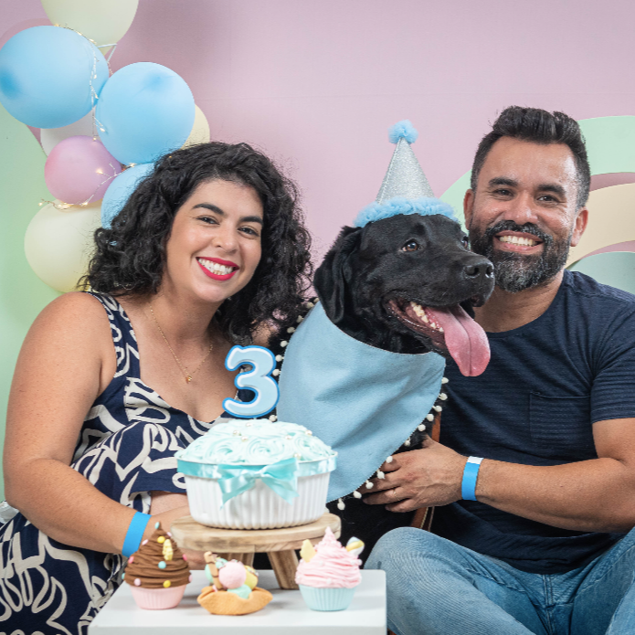 isisleeoficial's tweet image. Sequência de fotos do aniversário do Hug 🥳

Dia 25 de março o Hug completou mais um ano de vida. Foi um dia muito especial, com direito a sessão de fotos de aniversário e reencontro com o casal que socializou ele!

#acessibilidade #deficientevisual #cãoguia #labrador #cega