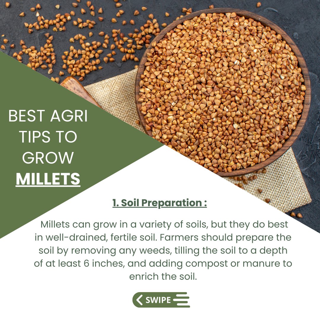 AgriConnectInc's tweet photo. #millets #agritips #farmingtips #soilhealth #cropmanagement #pestcontrol #droughtresistance #sustainability #healthyfood #nutrition #farmingcommunity #agriculture #farmlife #harvest   #superfoods #healthyfood #india https://t.co/TiXwwMPP7i