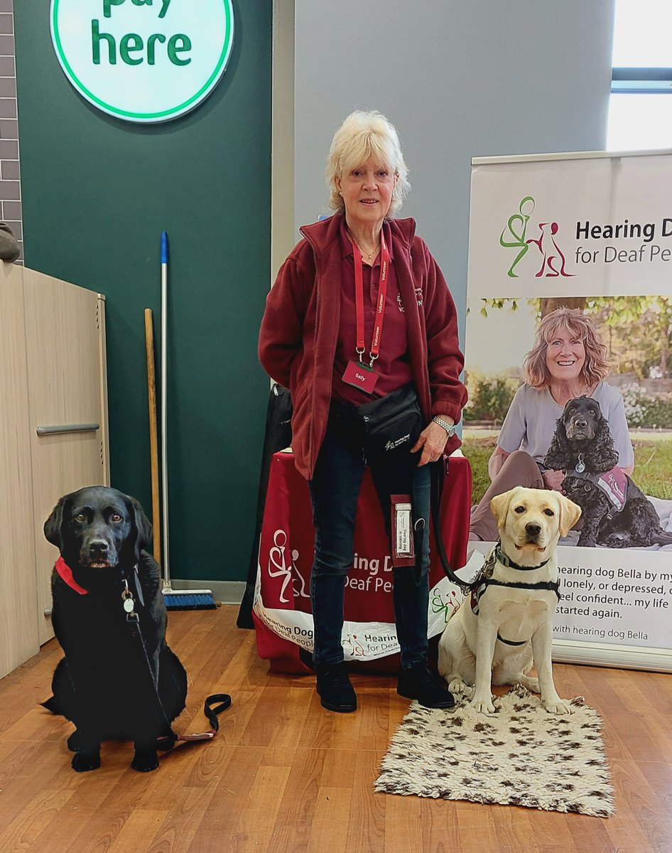 The nice people at the Wycombe branch of <a href="/PetsatHome/">Pets at Home</a> made Polly and Kali very welcome today.  There will be different <a href="/HearingDogs/">Hearing Dogs for Deaf People</a> puppies to meet there every day this week, so come along to see them

<a href="/VolTeamHDogs/">Volunteering H-Dogs</a> <a href="/sallymoore18/">Sally</a> <a href="/CooteMike/">Mike Coote</a>