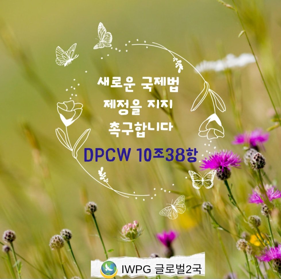 #실질적인 평화의해답
#DPCW 10조38항
#지지촉구합니다