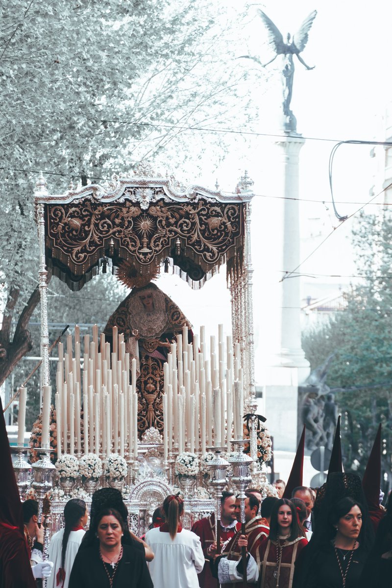 FelipeUtrGar's tweet photo. Domingo de Ramos v.II https://t.co/sm8w2Heumy
