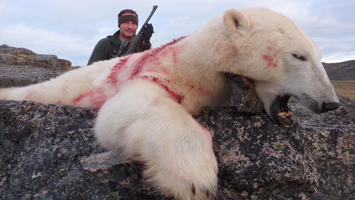 Nature Is Beautiful 🐾 🦋🌏🌸 tweet media