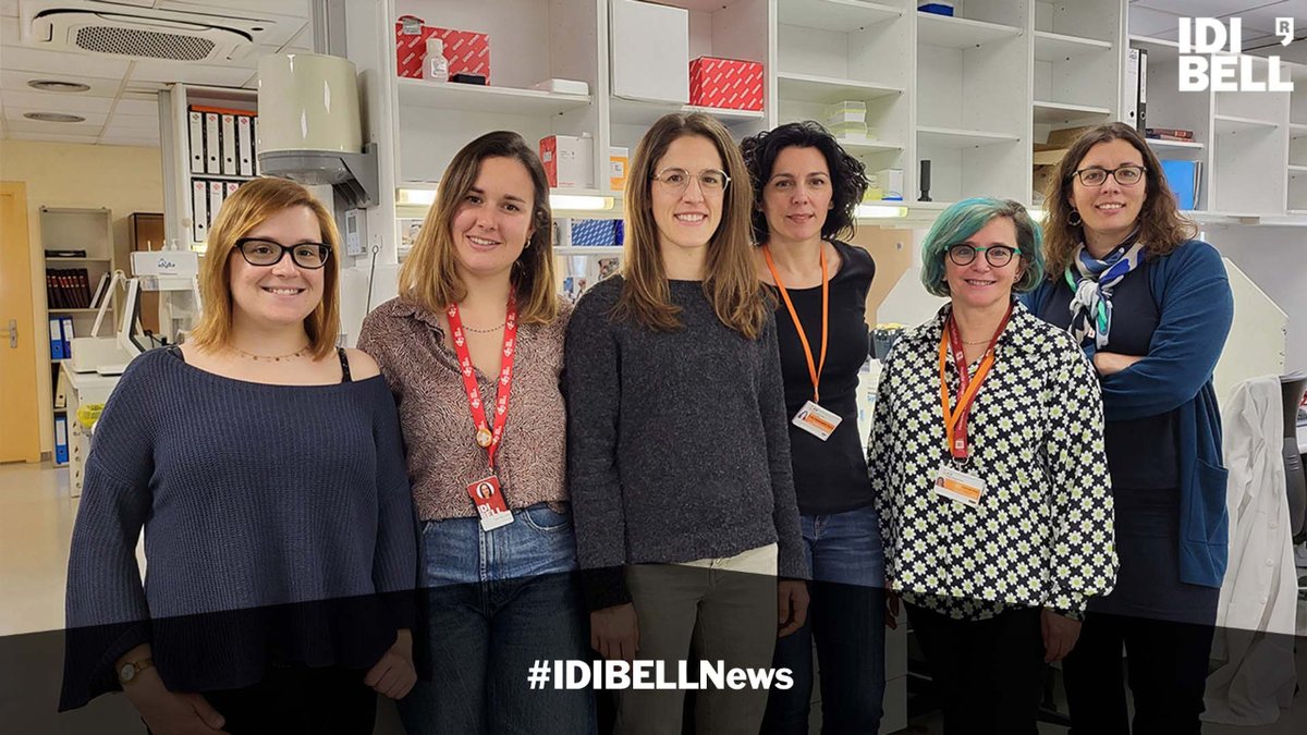 🆕Bioinformàtiques i genetistes de l'<a href="/idibell_cat/">IDIBELL</a> i de l'<a href="/ICO_oncologia/">Institut Català d'Oncologia</a> desenvolupen un programa que permet accelerar la classificació de variants genètiques, i per tant accelera el diagnòstic del #càncer #hereditari
#IDIBELLnews

➡️bit.ly/3KmsP7o