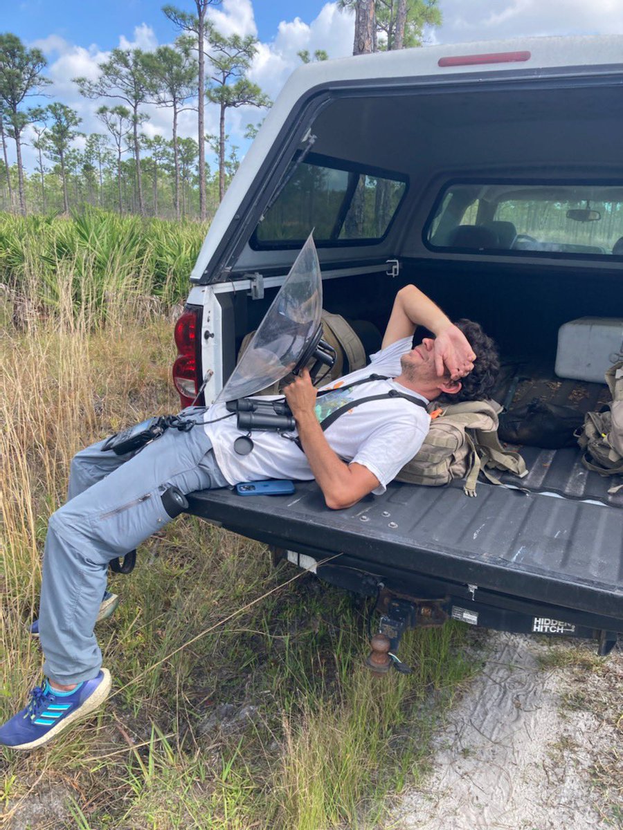 HGonzembach's tweet photo. Recording birdsong is hard work 😓 https://t.co/DTRLbicJH9
