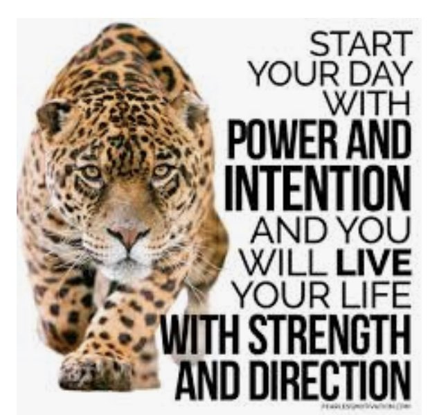 David Everson tweet media