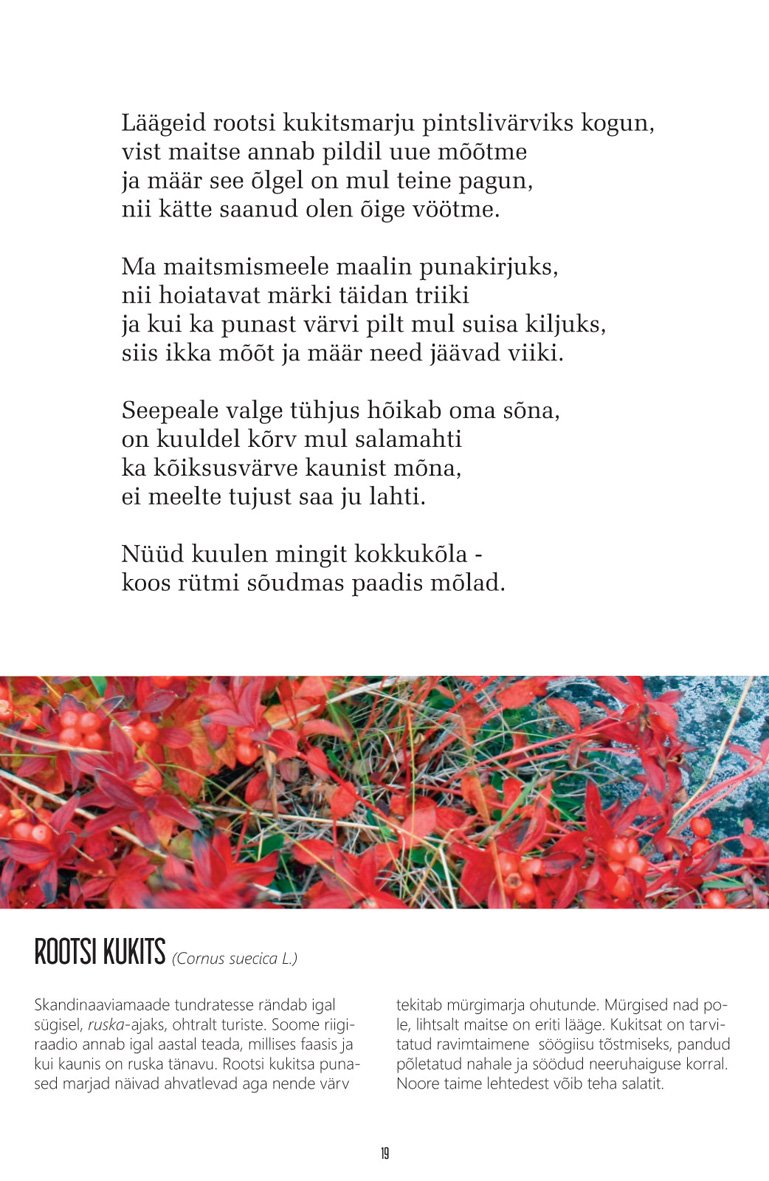 Lea Mändmetsa luulekogum "Ma pintsli otsa võtan maasikavärvi ..." (2016). torekirjastus.ee/pood/ma-pintsl…