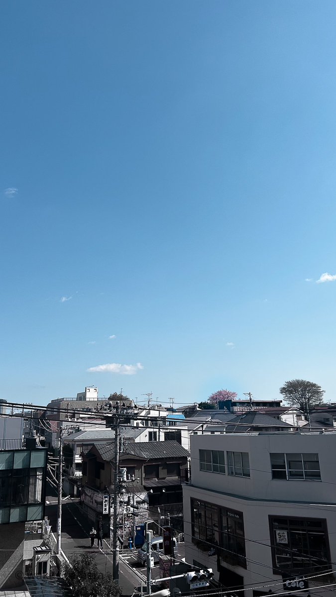 wakky_camera's tweet photo. 桜
(Twitterの存在忘れてた🥹) https://t.co/06dKUGhZoC