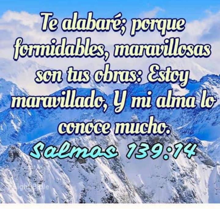 Buen día mis estimados , muchas bendiciones en este inicio de semana , 🙏☺️

 #SemanaMayorEnFamilia

@Arianta505224 <a href="/marimar679891/">marimar💗twitera de la patria💗</a> <a href="/luis16684716/">tuitero de Aragua</a> <a href="/ARIANTA020/">Arianta</a> <a href="/arianamanzanil4/">ari🇻🇪💖💝🕊️</a> <a href="/Yanir3P/">Yanir3 Pim3nt3l</a> <a href="/YarytzaR6/">Yarytza</a> <a href="/SoyDadumar1995/">Dayana Duran</a>