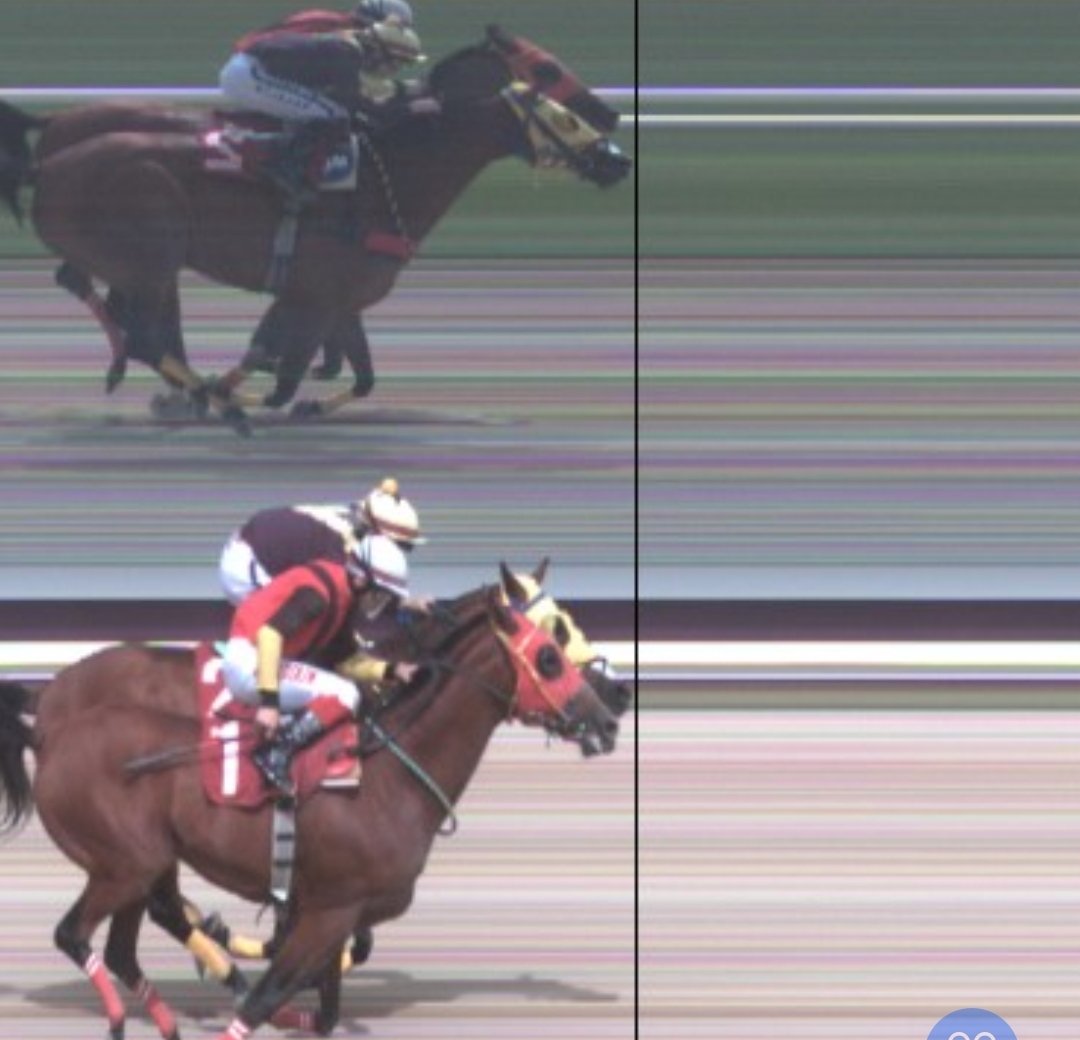 #tjk atların çizğiyi geçmediği ortada ayıp yaptığınız bu kaçıncı