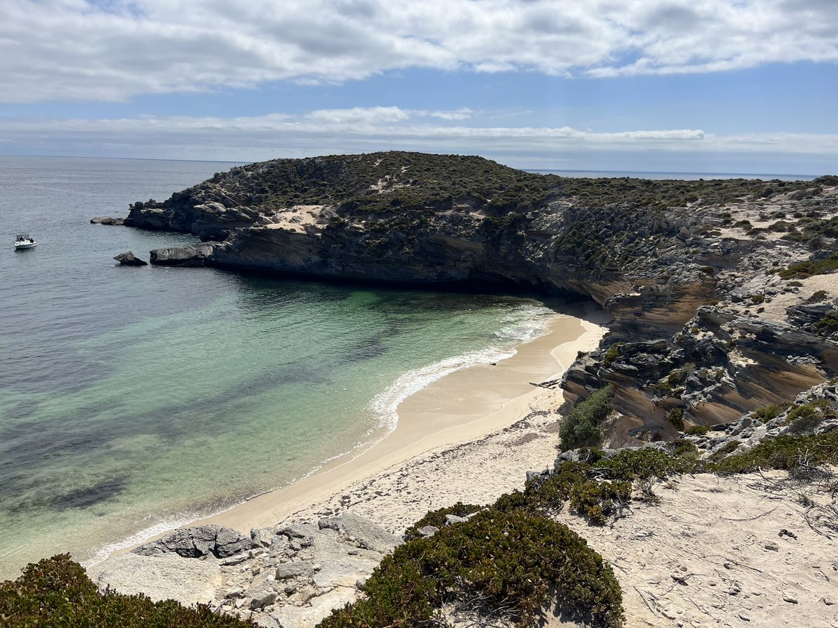 rocky_olimpia's tweet photo. Close call with Aussie wildlife. Safe to say I will never enjoy sunbathing in peace again after looking up to find a huge lizard and snake enacting alien vs predator #teamlizzy (hope it didn’t get digested) a meter away from me. https://t.co/xni1dVYMYW