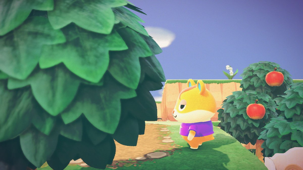 最近ハムちゅけのお家周り弄ってるから、ハムちゅけのお写真多め。
流し目ハムちゅけ🐹かわいいねぇ🐹
#あつ森
#ペタル島ログ