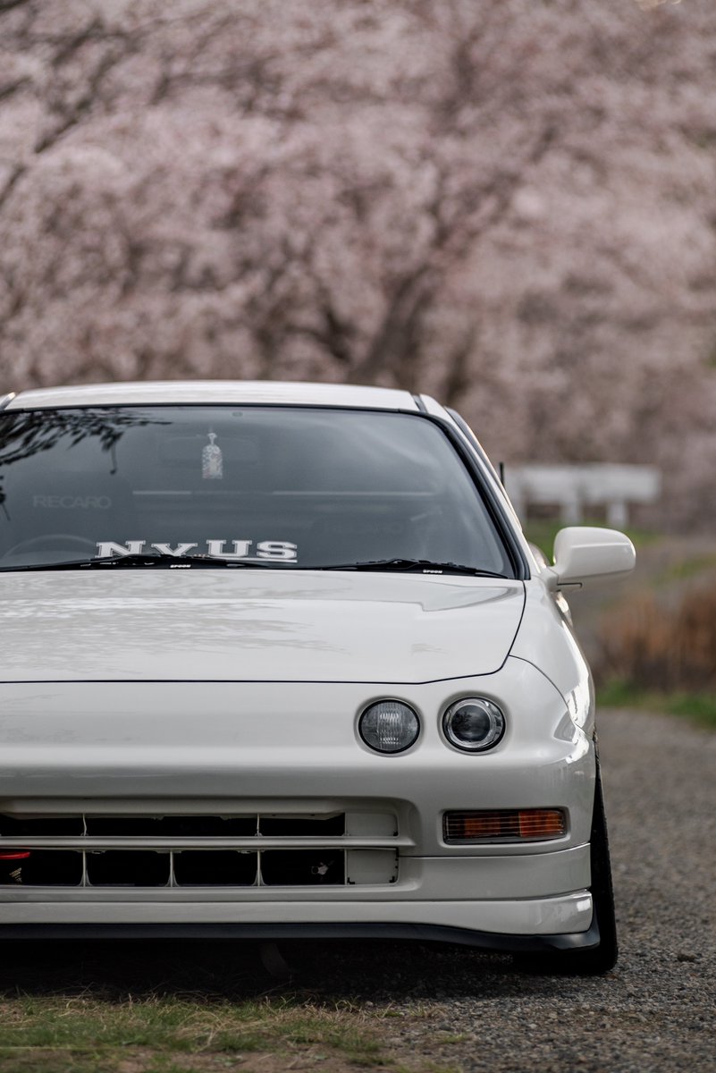mymt_dc2's tweet photo. 便乗失礼します🙏
📸:@DC2_Si_VTEC thx‼︎
・
#ITR
#00SPEC
#丸目移植
#Cherryblossoms
#ホンダ乗りと繋がろう2023春 https://t.co/QCy853PnT2