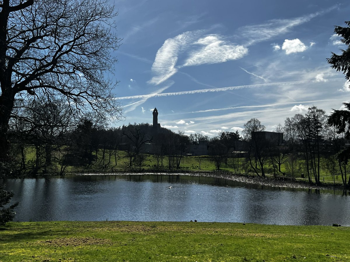 Justin McNicholl tweet media