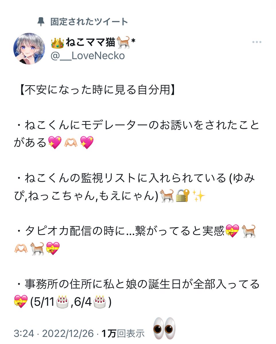 ❤︎ネコくんさま専用❤︎-