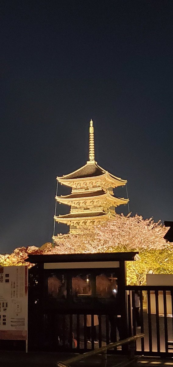 s_kyoto7's tweet photo. 圧巻の京都の東寺のライトアップ🌸
#京都　#STEPN https://t.co/RNcbTzSQyQ