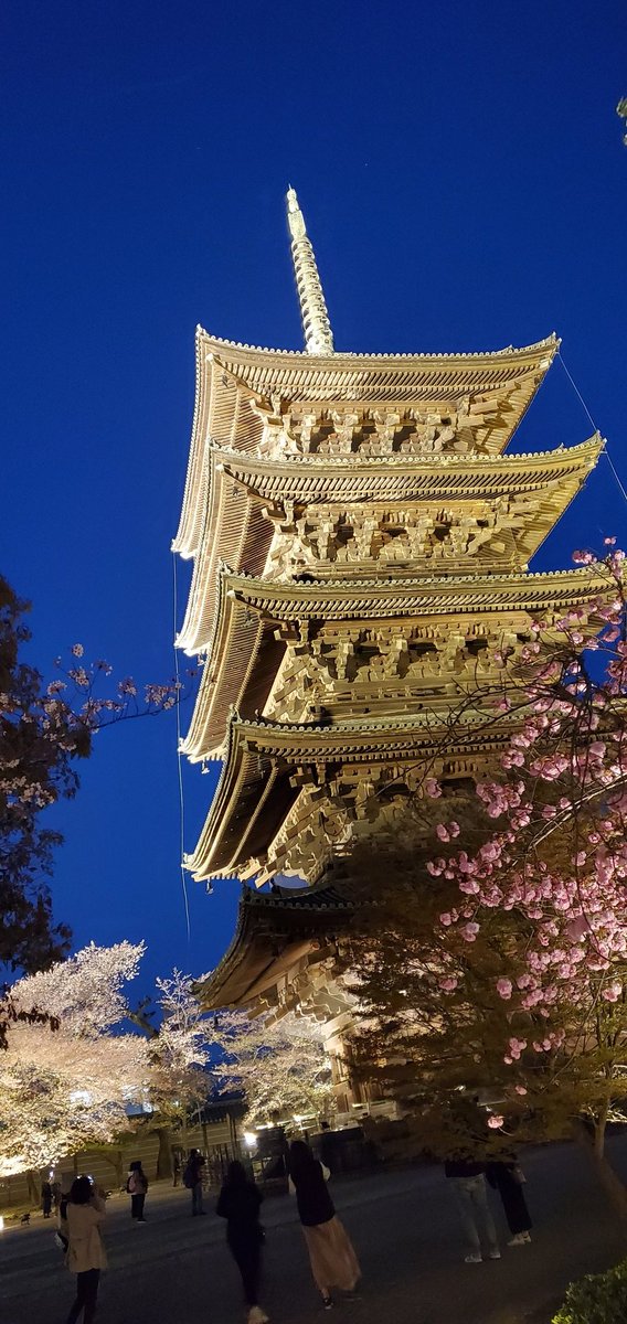 s_kyoto7's tweet photo. 圧巻の京都の東寺のライトアップ🌸
#京都　#STEPN https://t.co/RNcbTzSQyQ