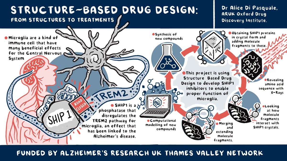 Dr Alice Di Pasquale (@alice_dipasq) on Twitter photo I am delighted to share this awesome illustration showcasing our Structure-Based Drug Design approach for the development of dementia treatments. A big thanks to Jack Brougham and <a href="/ARUKThamesV/">ARUK Thames Valley Network</a> for making this possible. Please feel free to retweet it! I am delighted to share this awesome illustration showcasing our Structure-Based Drug Design approach for the development of dementia treatments. A big thanks to Jack Brougham and <a href="/ARUKThamesV/">ARUK Thames Valley Network</a> for making this possible. Please feel free to retweet it!
