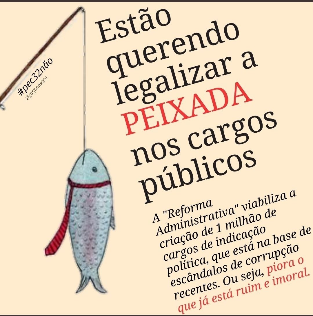 erin_vieira's tweet photo. Não se engane pois a #reformaadministrativa proposta só abrange o peixe pequeno, que dedicou anos de sua vida para estudar para concurso. Querem agora terceirizar tudo, acabando com a escolha técnica e abrindo a porteira para políticos e empresários. #PEC32NÃO #PEC32 #PL2258 https://t.co/dcQXH4odgN