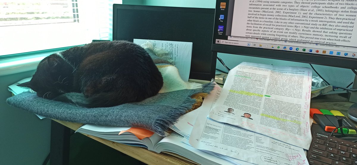 Ali_Paskell's tweet photo. The struggle is real.
Although my solution of putting my scarf on the desk isn't purrrfect ๐ it does allow me to work in peace for a while... #CatsOfTwitter #studying #tryingtowork #CatsAreFamily #Cat #Assignment https://t.co/KE284E6j7h