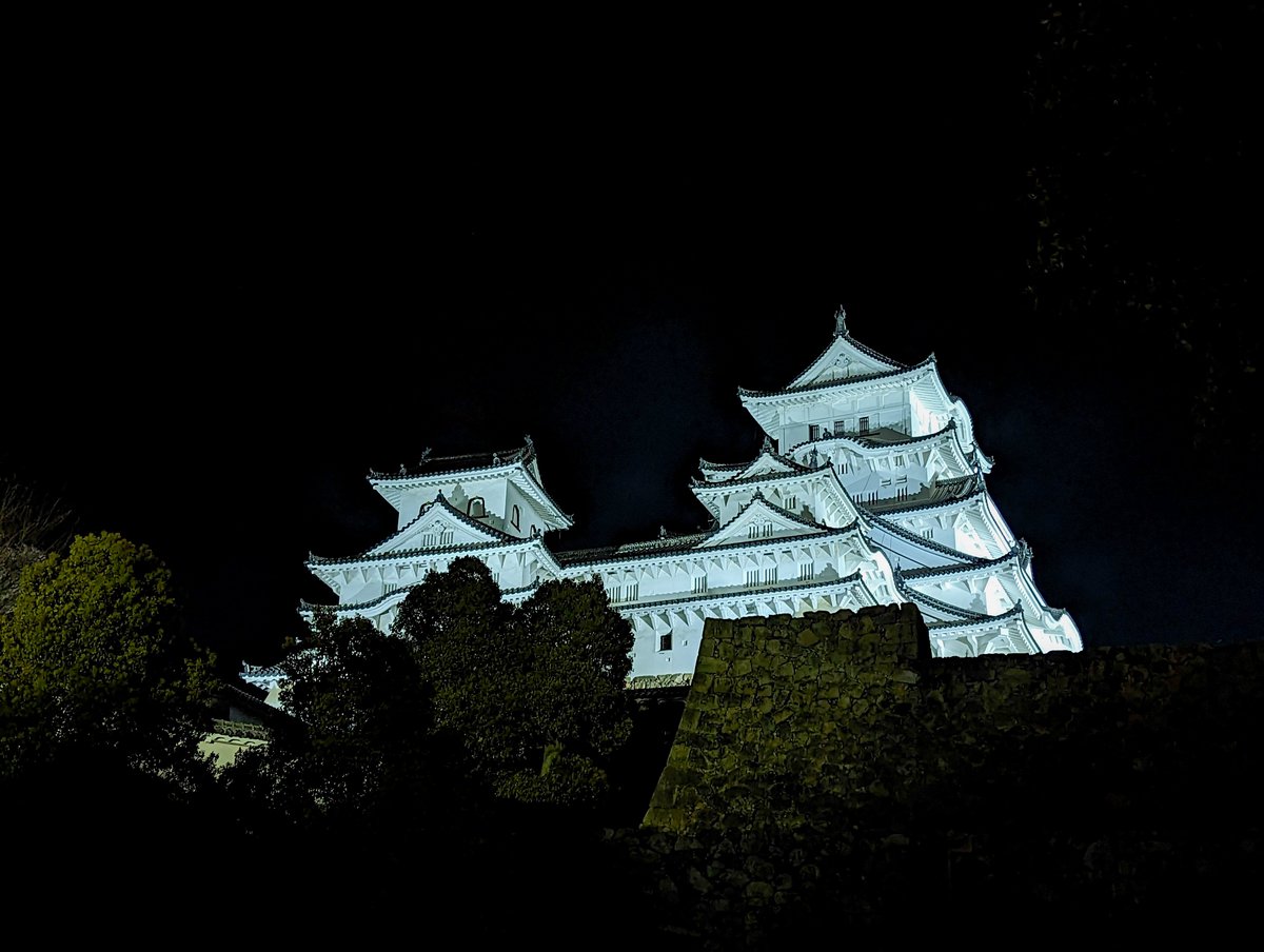 姫路城の夜桜会🌸
めっちゃキレイでした😀