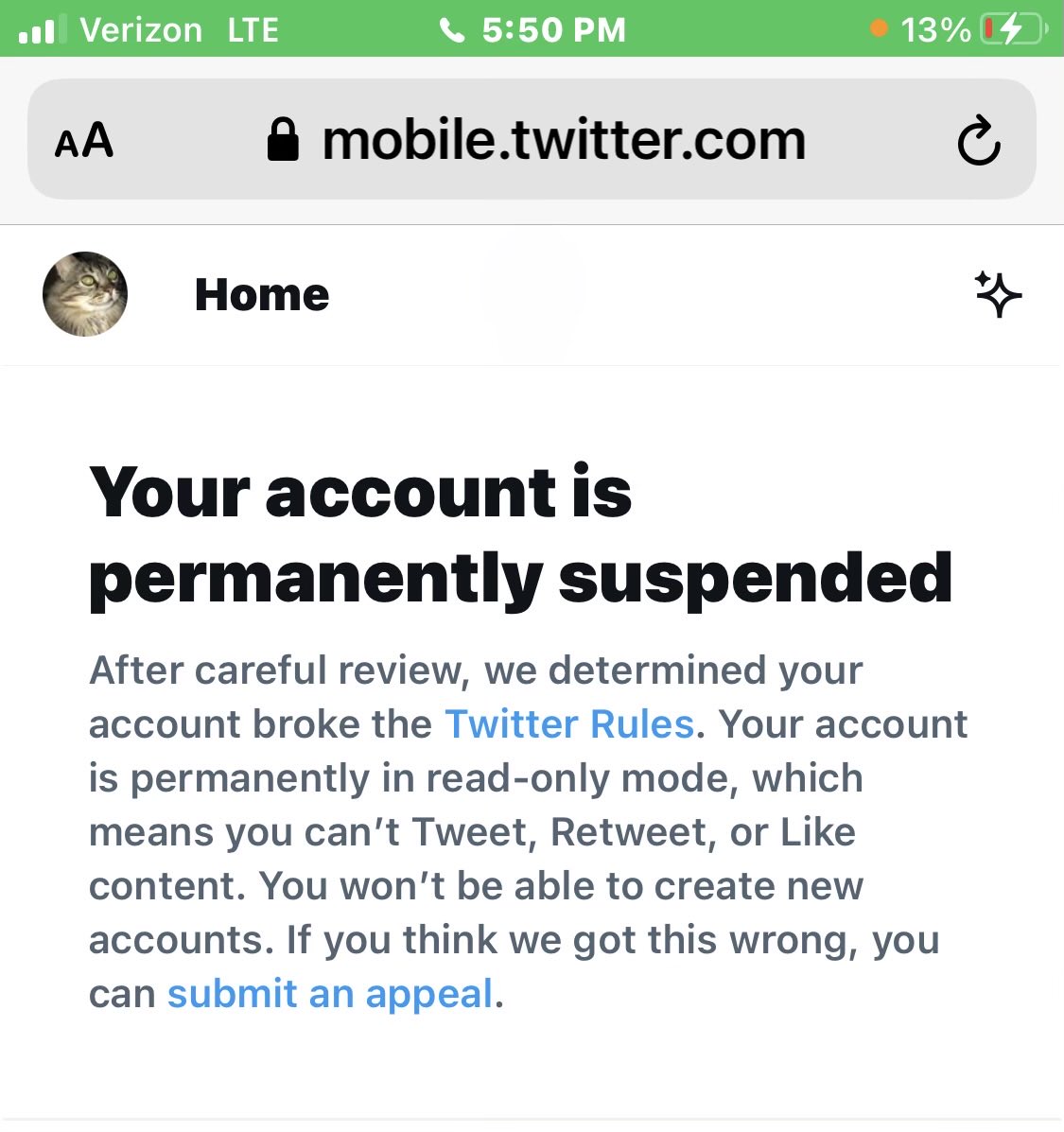 rubyshooz8's tweet image. ⁦@elonmusk⁩ ⁦@TwitterSupport⁩  TODAY IS SHY BLUES BIRTHDAY 🎂 IT WOULD BE A GREAT BIRTHDAY PRESENT TO TAKE SUSPENSION OFF HER TWITTER ACCOUNT!  SHE DID NOTHING WRONG❗️
⁦@jakefree⁩ #JakeCrew  Best LP Vinyl Stereo Music 🎶 On Twitter 

⁦@elonmusk⁩ @elonmusk