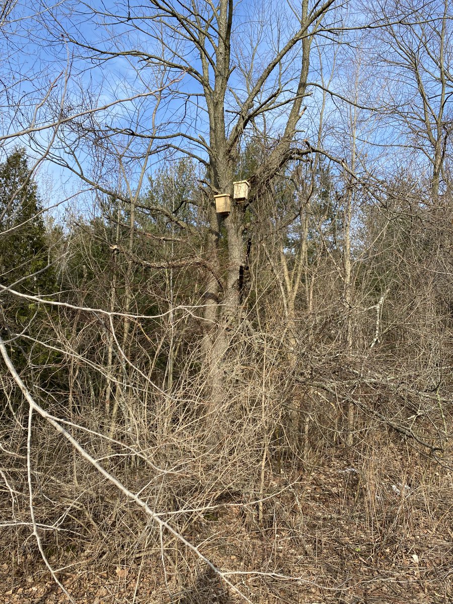 ⁦<a href="/KingTownship/">King Township</a>⁩ ⁦<a href="/ExperienceKING1/">Experience KING</a>⁩ New homes in #kingcity - looking forward to meeting the neighbours